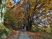 10 Sul sent. 136 colorato d'autunno per il Passo di Grialeggio